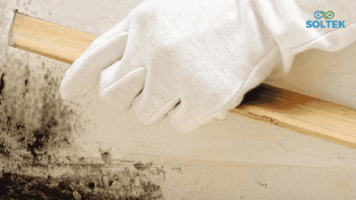 En İyi Küf Temizleyici