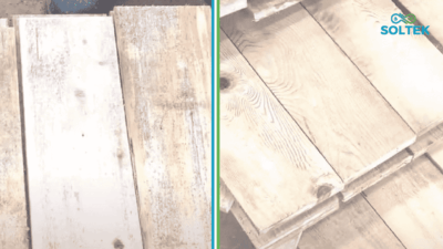 en iyi küf giderici